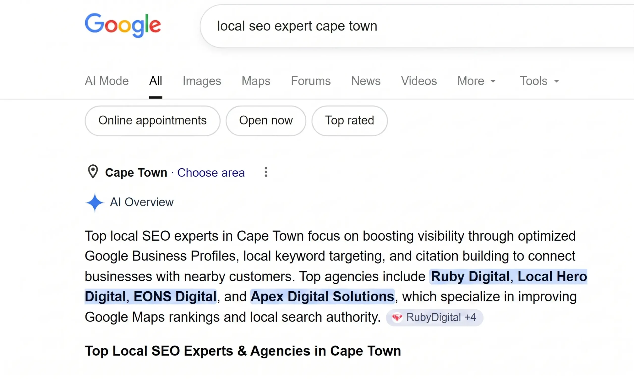 local seo expert cape town ai overview on google